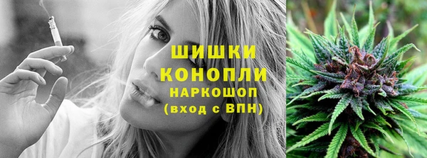 дживик Арсеньев